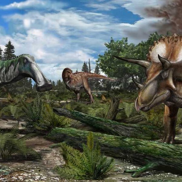 Dinosaurs might still be roaming Earth if not for asteroid, study shows