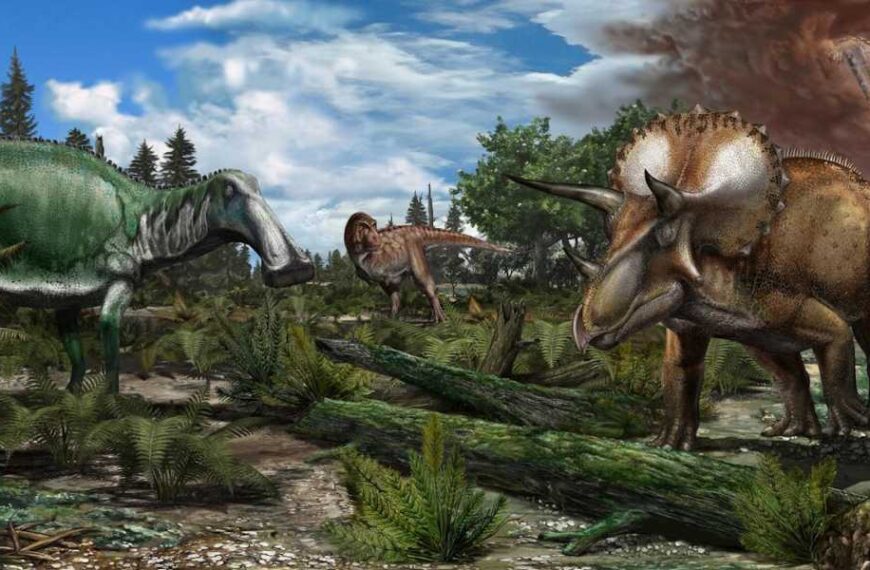 Dinosaurs might still be roaming Earth if not for asteroid, study shows