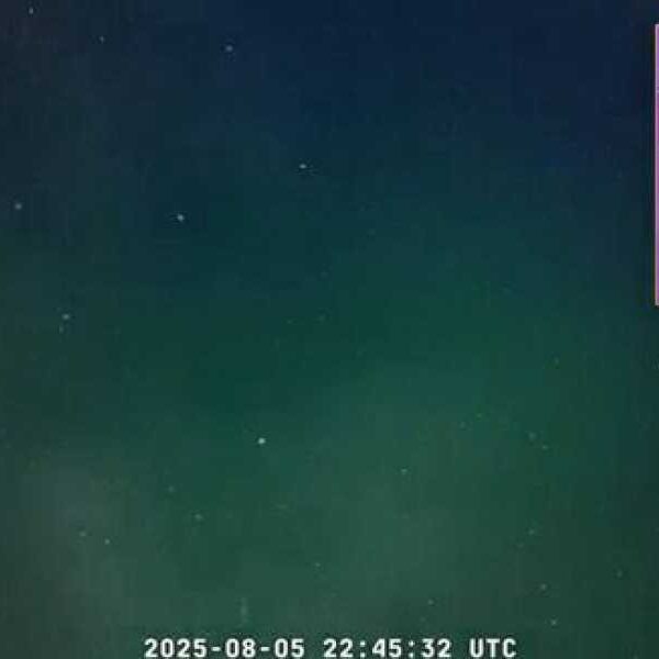 Footage taken 2.4 miles below the ocean’s surface reveals stunning discovery