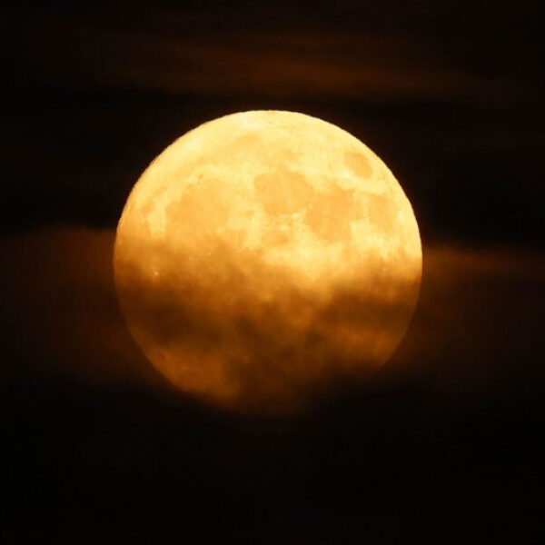 July’s Full Deer Moon Will Reach Its Peak