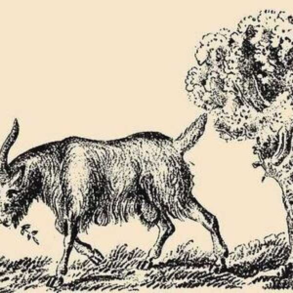 Only people with a high IQ can spot the owner of a&hellip;