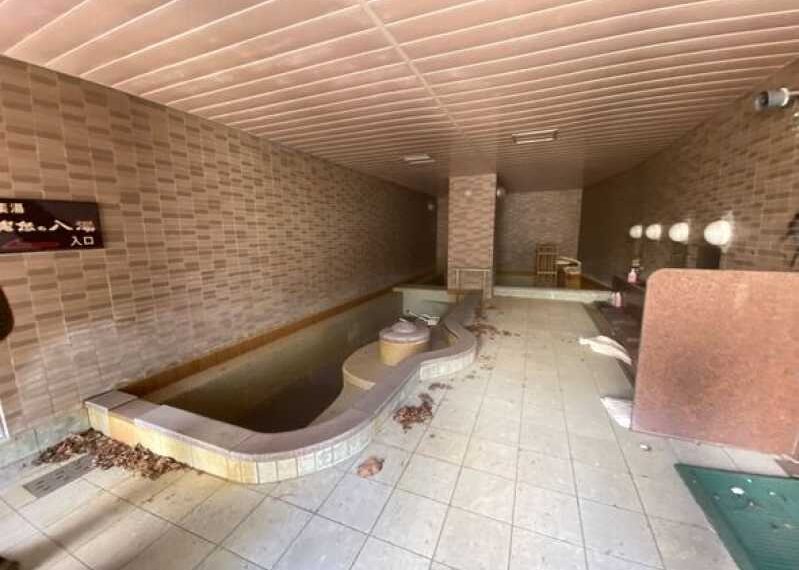 An eerie abandoned resort town, untouched for 30 years and falling into…