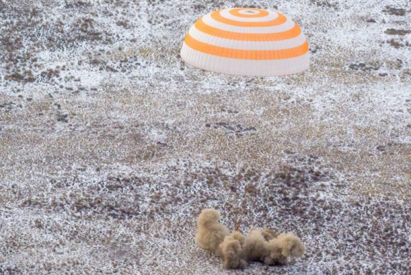 The Soyuz MS-27 spacecraft lands in a remote area near Zhezkazgan, Kazakhstan, with astronaut Jonny Kim and cosmonauts Sergey Ryzhikov and Alexey Zubritsky aboard on Tuesday morning. NASA Photo by Bill Ingalls/UPI
