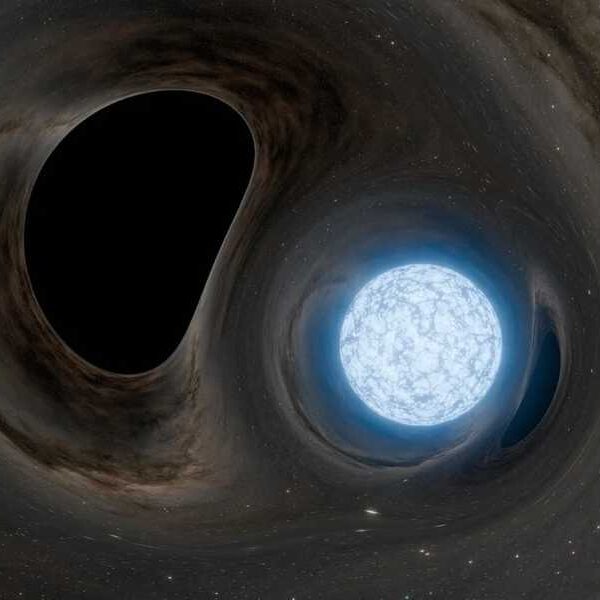 Astronomers Simulate Last Moments of Star Being Devoured by Black Hole: ‘Breaks&hellip;