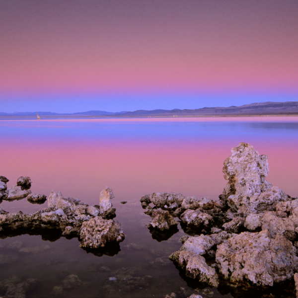 The “Arsenic Life” study, hailed by NASA as a breakthrough in astrobiology,&hellip;