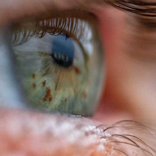 Scientists Say New Cells Found in Eye Could Help Restore Vision