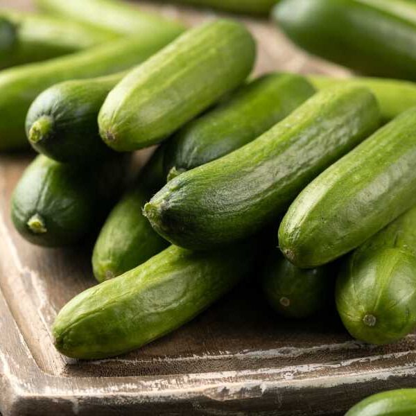 Cucumbers recalled after salmonella outbreak in several states sickens dozens