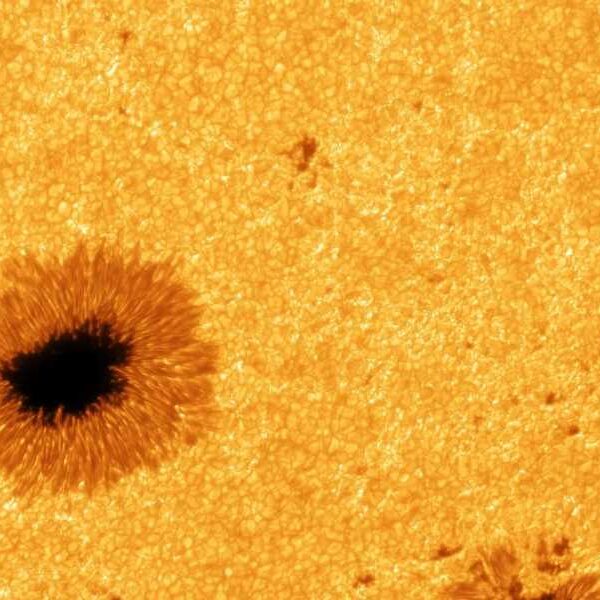 New 8K Sun Photos Show Incredible Details of Raging Sunspots