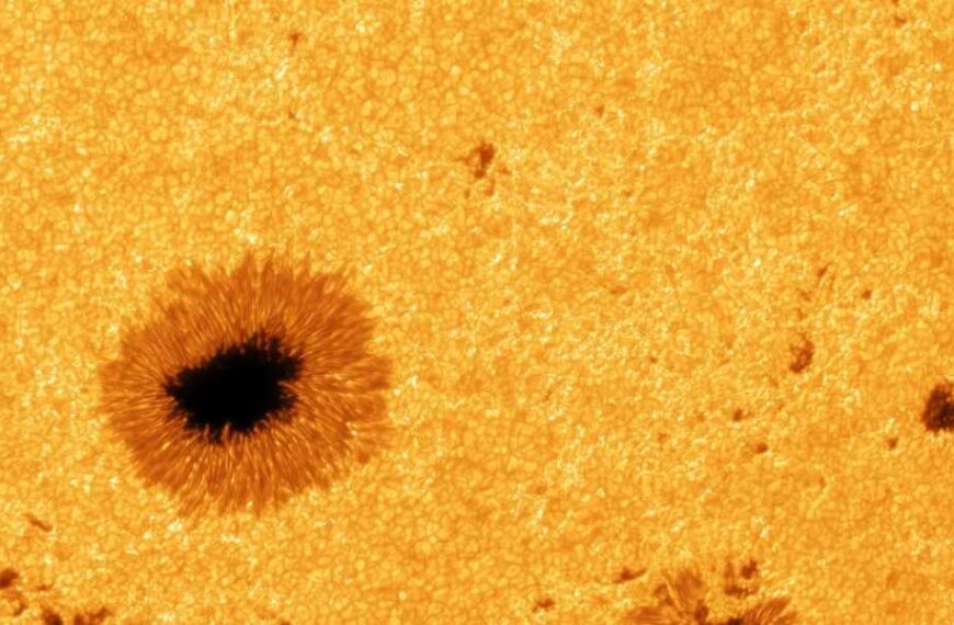 New 8K Sun Photos Show Incredible Details of Raging Sunspots