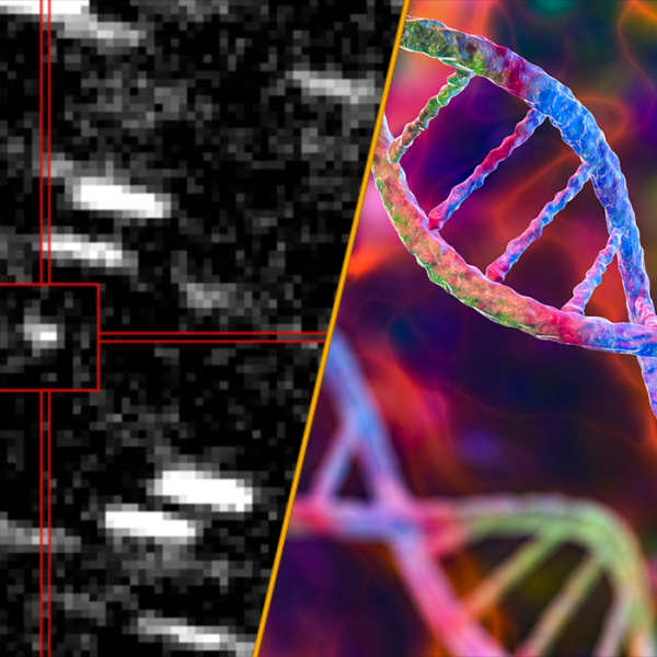 Science News This Week: ‘Interstellar Visitor’ and Oldest Ancient Egyptian Genome Ever…