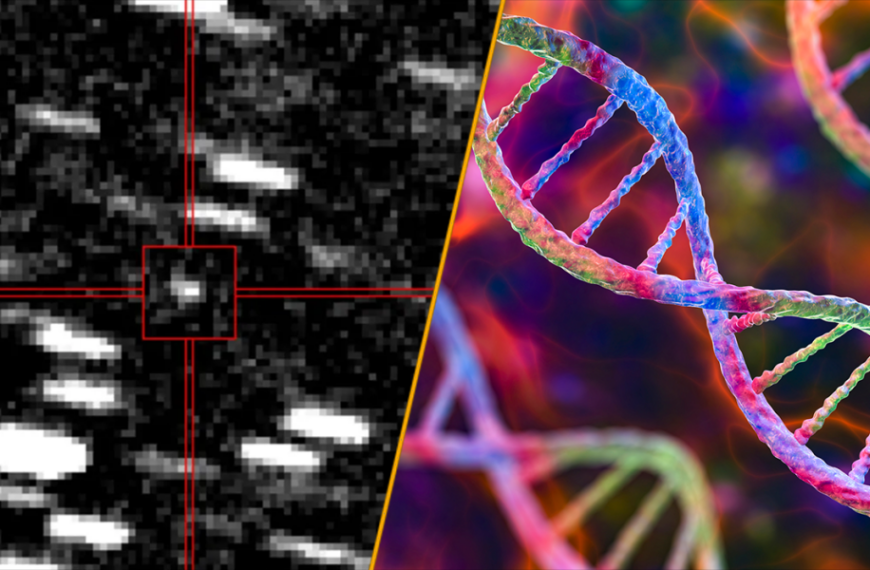 Science News This Week: ‘Interstellar Visitor’ and Oldest Ancient Egyptian Genome Ever&hellip;
