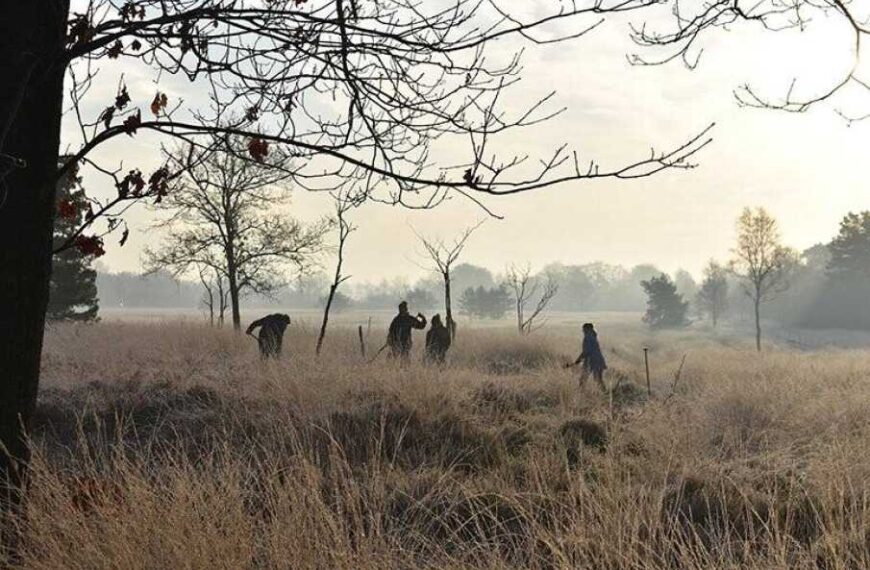 Roman military camp discovered by students in the Netherlands