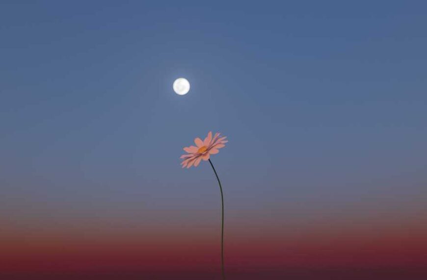 May’s Full Flower Moon Will Be a Micromoon. Here’s How to Watch…