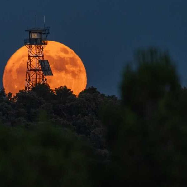 ‘Strawberry Moon’ 2025: June’s Full Moon Set to Break Annual Record