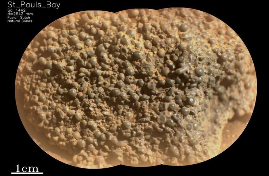 NASA’s Mars Rover Has Discovered Hundreds of ‘Spider Eggs’ on&hellip;