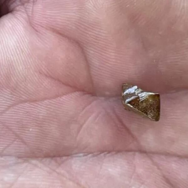 Minnesota farmer finds 3.81-carat brown diamond at Crater of Diamonds State Park