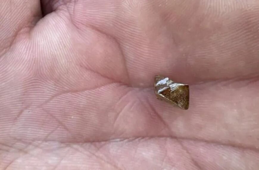 Minnesota farmer finds 3.81-carat brown diamond at Crater of Diamonds State Park