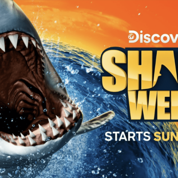 How to Watch Shark Week 2025: Discovery Live Streaming and Special Streaming&hellip;