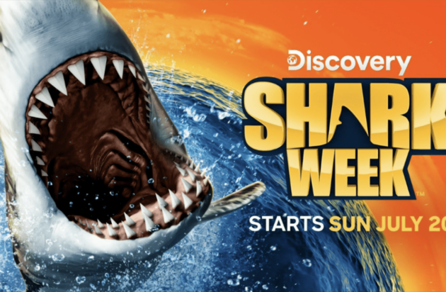 How to Watch Shark Week 2025: Discovery Live Streaming and Special Streaming&hellip;