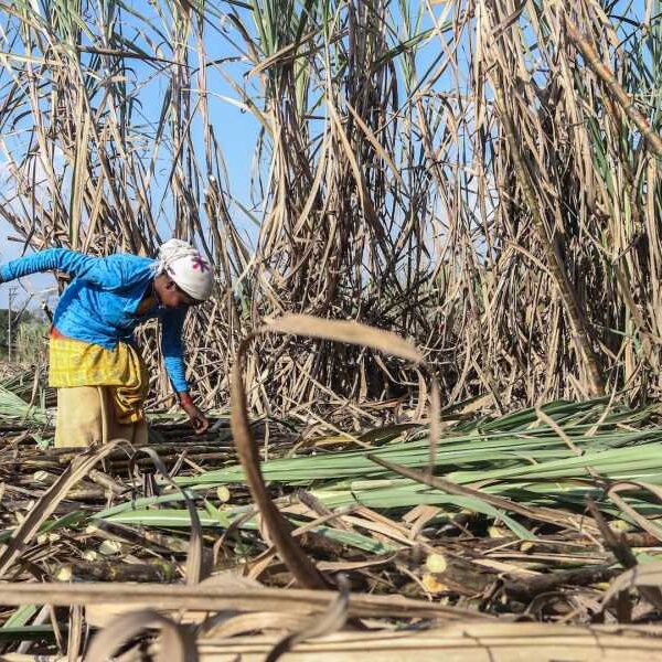 A dangerous condition that can cause seizures, coma and death could rise&hellip;