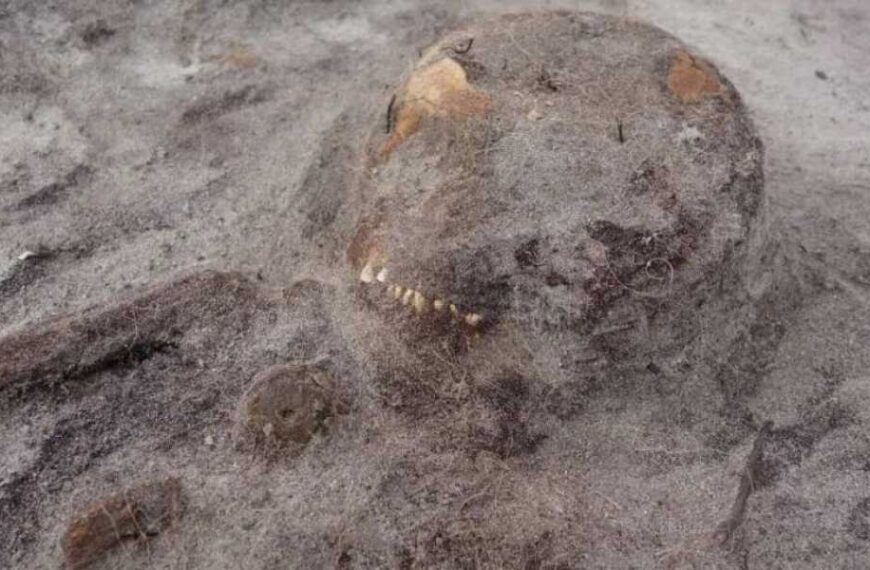 Burial of Elite Viking Woman and Her Dog Discovered in Norway