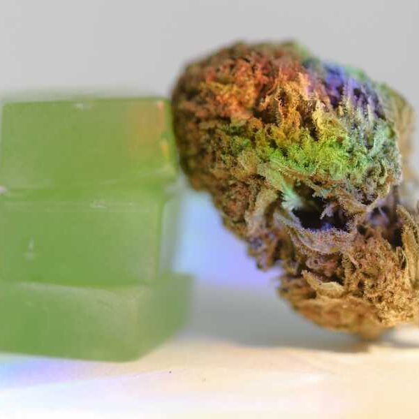 Weed can be bad for your heart, whether you smoke it or&hellip;