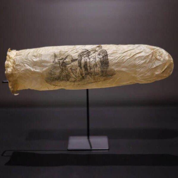 Dutch museum displays 200-year-old condom made from sheep’s appendix