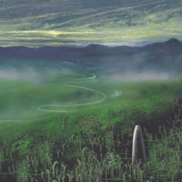 Giant mushroom-like organism may be entirely unknown branch of life