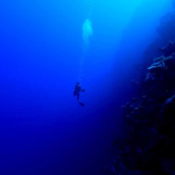 Only 0.001% of the ocean depths have ever been explored by humans—an…