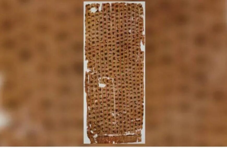 Mawangdui Medical Manuscripts May Be the Oldest Atlas of Human Anatomy