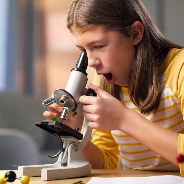 10 Weird and Amazing Things You Can See Under a Microscope