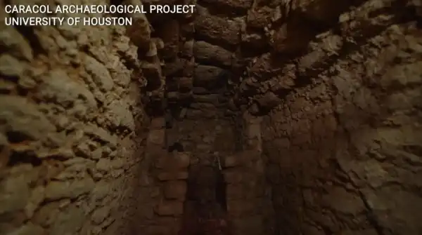 Saxon burial ground unearthed at Sizewell power plant location, complete with equine&hellip;