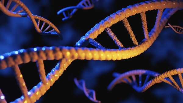 Consumer DNA Tests: Precision Problems and Potential, Say Experts
