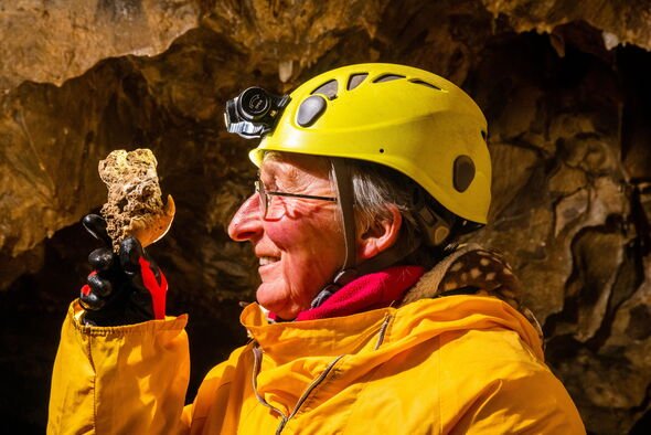 Ancient Wolverine Skeleton Unearthed in UK Cave, Dating Back 80…