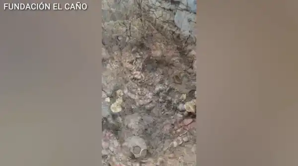 Panamanian Dig Unearths Gold-Filled Ancient Grave