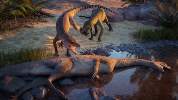 Relative of crocodile from Triassic period, discovered at Ghost Ranch,&hellip;