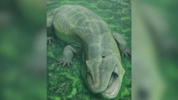 Criatura pré-histórica aquática estranha com dentes laterais e mandíbula torta já era&hellip;