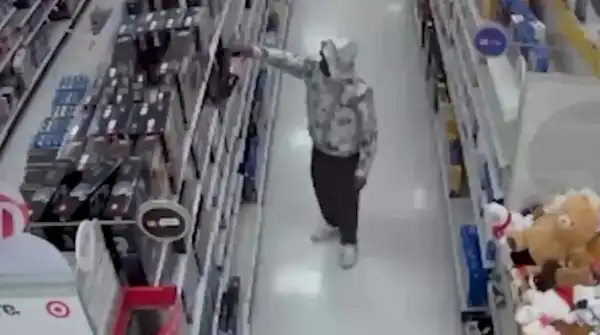 Man reportedly swiped $34,000 worth of Legos by stuffing boxes with dried&hellip;