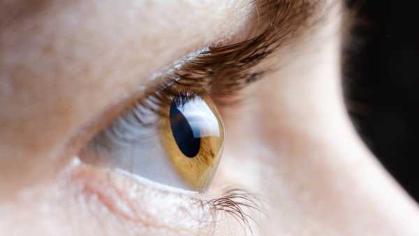 Does Wegovy present a danger of ocular infarction and impaired&hellip;