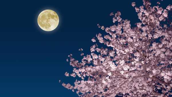 How to See April’s Full ‘Pink Moon’ and May’s ‘Blue&hellip;