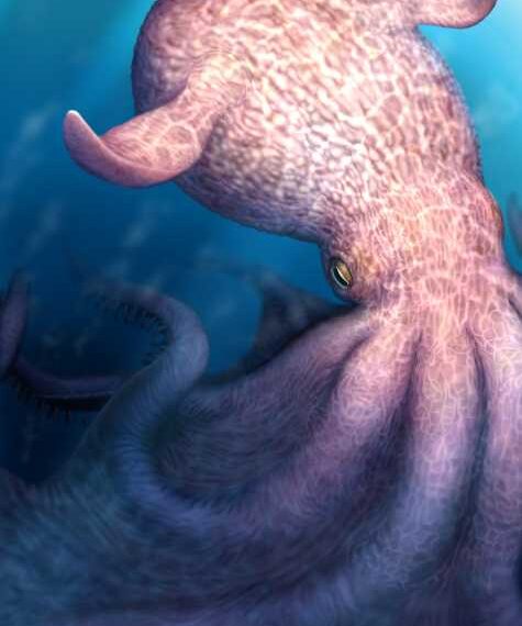 The ‘Kraken’ octopus, which existed during the dinosaur era, was&hellip;