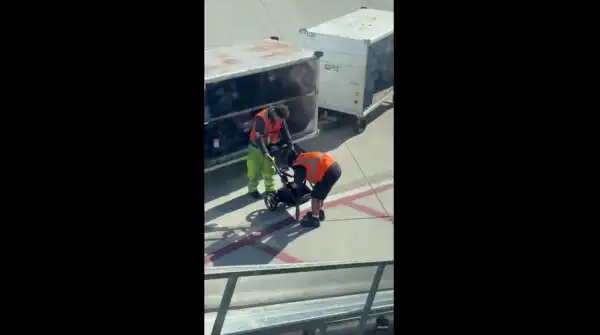 Airport patrons erupt in applause as staff manage to dismantle a resistant&hellip;