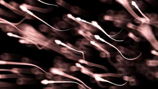 Seasonal variations may affect sperm quality, according to a new study.