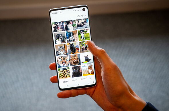 Owners of pets possess a greater quantity of photographs featuring their animal companions compared to&hellip;