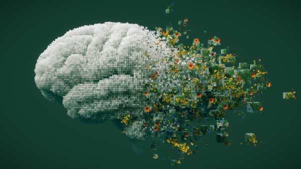 How can we prevent AI models from cannibalizing themselves when human-generated data&hellip;
