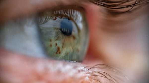 Ophthalmologists might soon be capable of examining your red blood cells by&hellip;