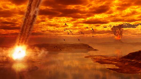‘Ho sempre più speranza che gli uccelli possano resistere di quanto forse&hellip;