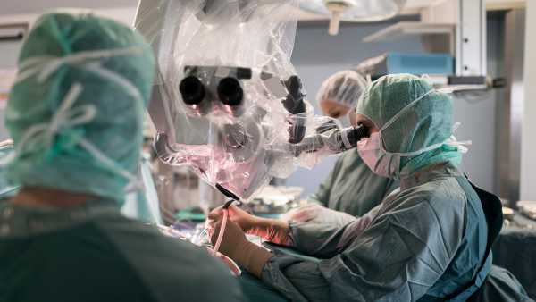 Il trapianto di cervello non è fattibile.