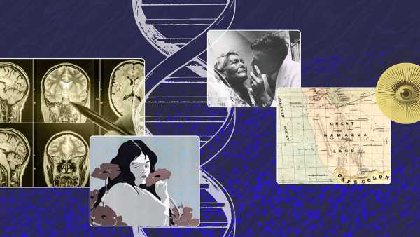 Uncommon inherited condition prompts researchers to re-evaluate the brain’s ‘fear&hellip;