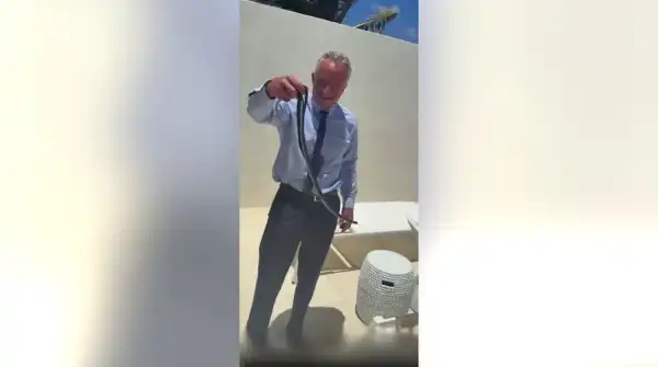 RFK Jr. auf frischer Tat ertappt: Schwarze Schlangen mit bloßen Händen auf&hellip;